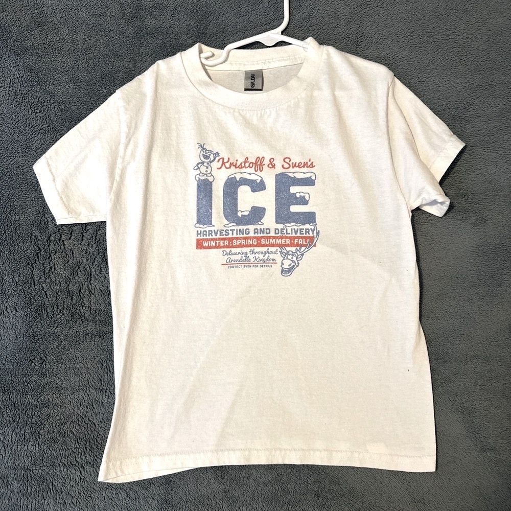 Cute Frozen boys tee shirt - Disney